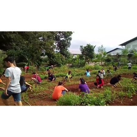 Perkebunan Mahasiswa