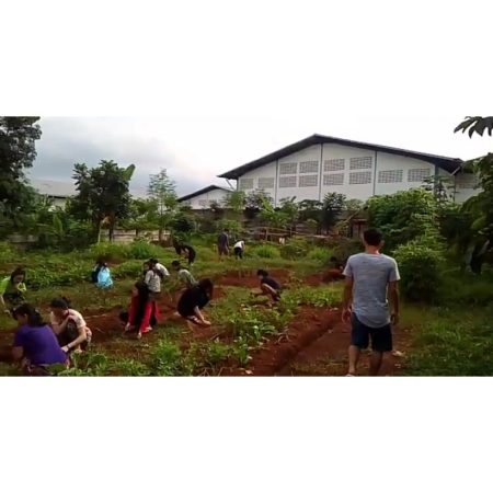 Perkebunan Mahasiswa